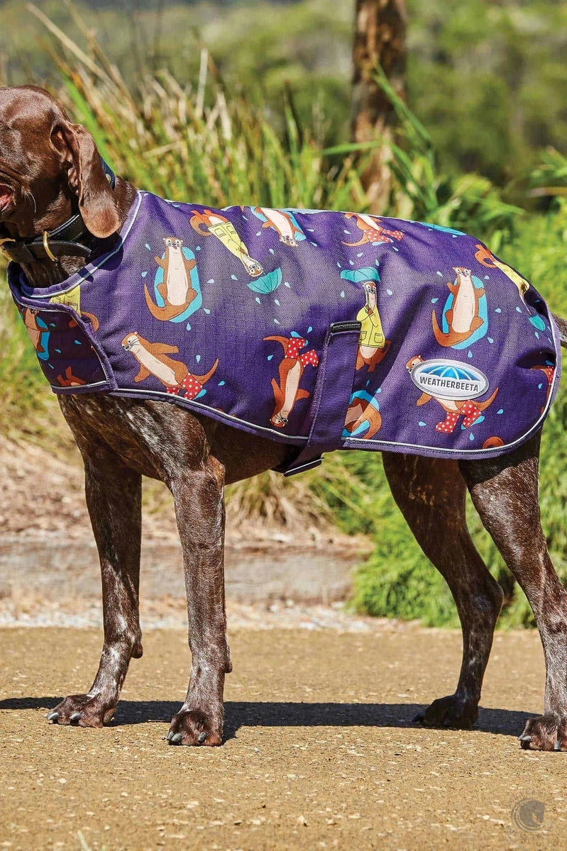 Weatherbeeta dog coat 2024 sale