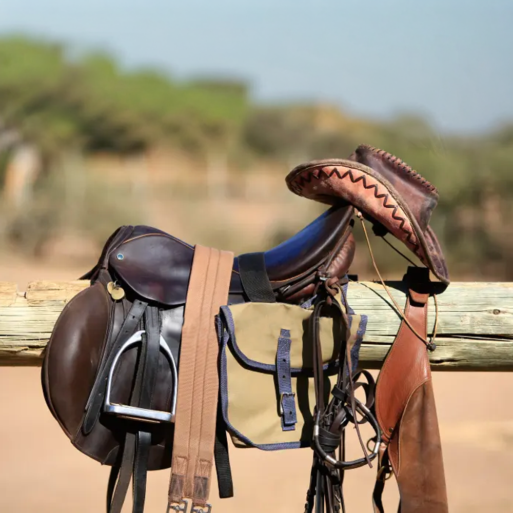  Horse Equipment