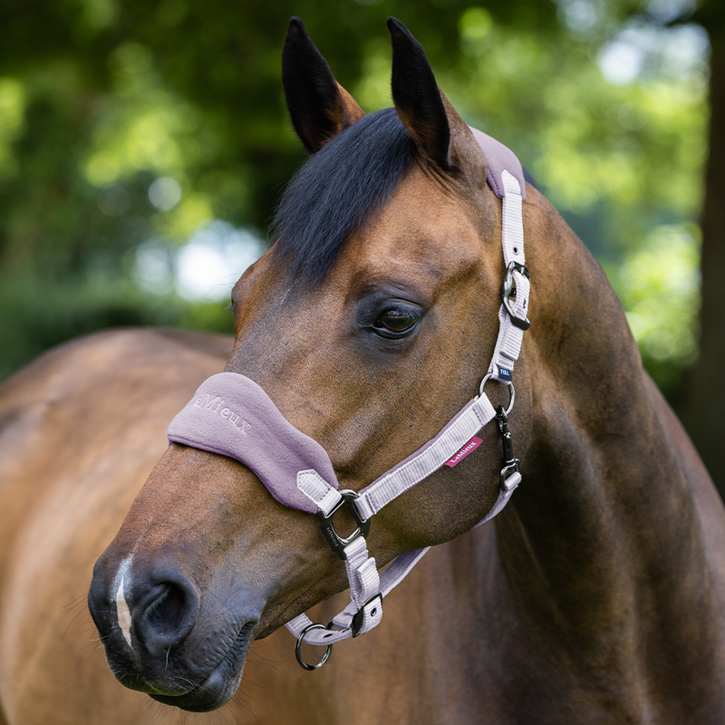 Outlet Fly Hoods, Halters & Leads