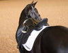 COLLEGIATE ACCLAIM DRESSAGE SADDLE