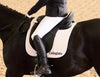 COLLEGIATE ACCLAIM DRESSAGE SADDLE