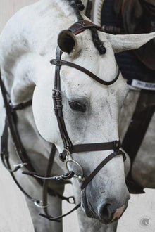  PS OF SWEDEN LONDON BRIDLE - BROWN AND BLACK