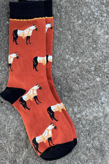  Outlaw Outfitters Horse Socks Orange