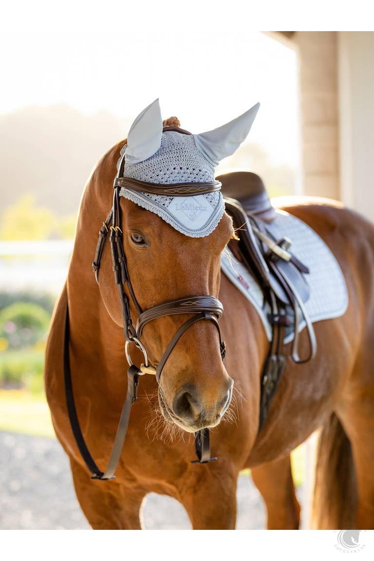 Classic Fly Hood Mist