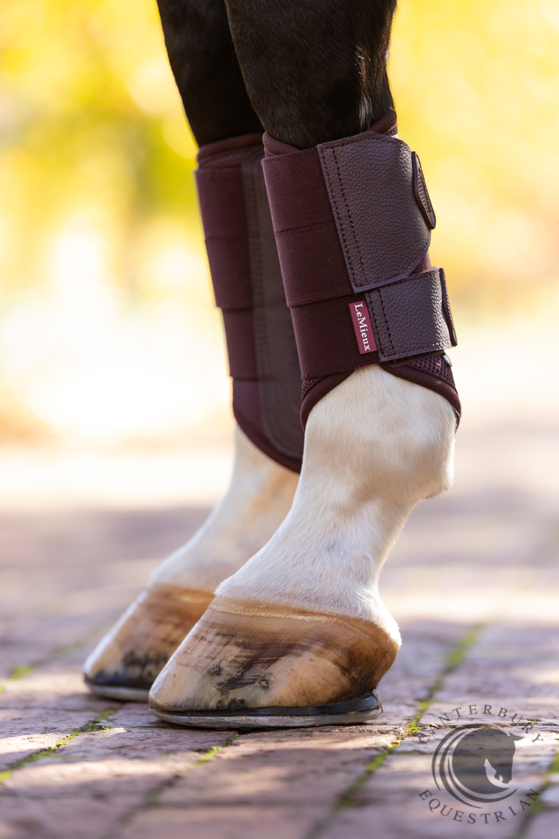 LeMieux Arika Mesh Brushing Boots Damson