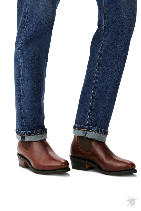 Williams Comfort Lady Yearling Mid Brown – Canterbury