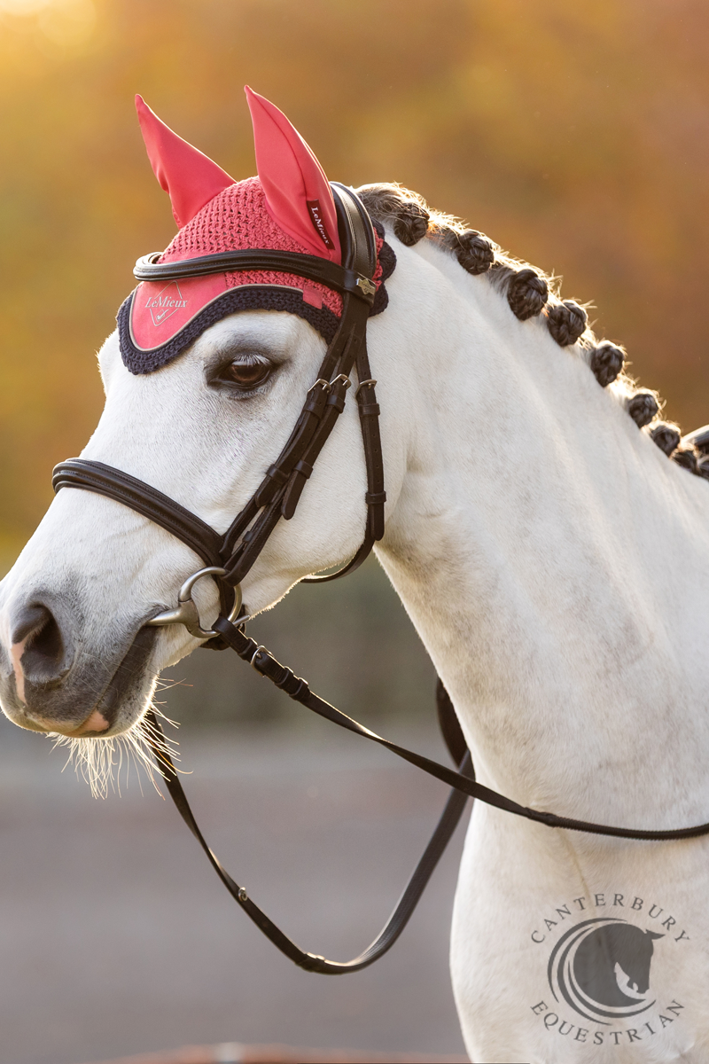 LeMieux Classic Fly Hood Cranberry