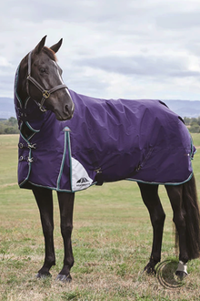  Comfitec Plus Dynamic Turnout 100g Combo Navy/Forest Green