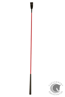  DUBLIN  Training Arm