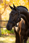 LeMieux Essence Headcollar Black