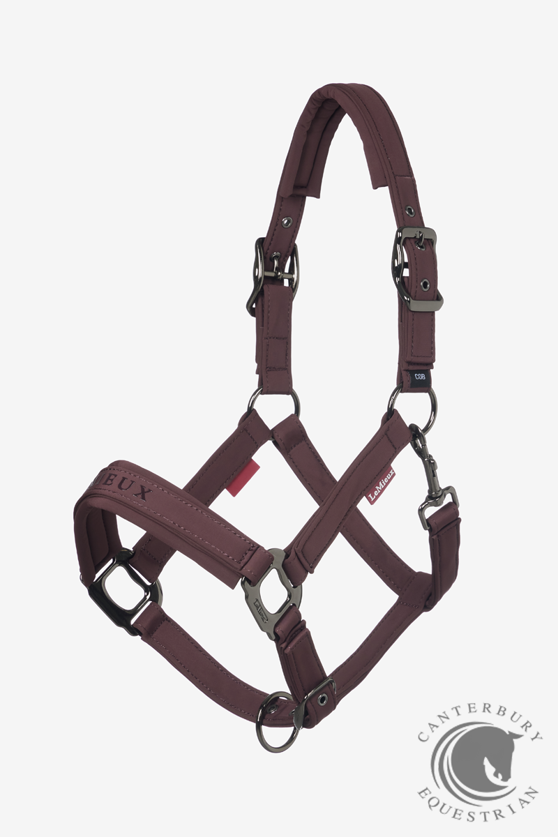 LeMieux Essence Headcollar Damson