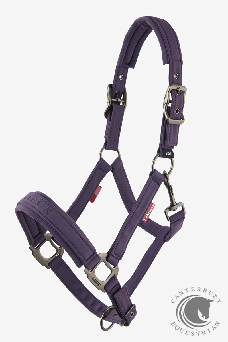 LeMieux Essence Headcollar Juniper