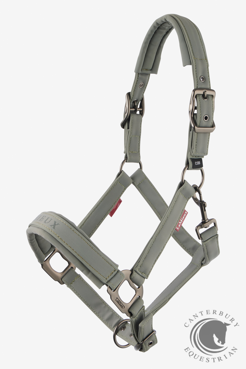 LeMieux Essence Headcollar Rosemary