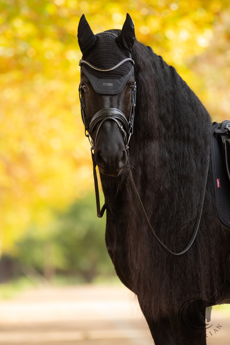 LeMieux Essence Acoustic Fly Hood Black