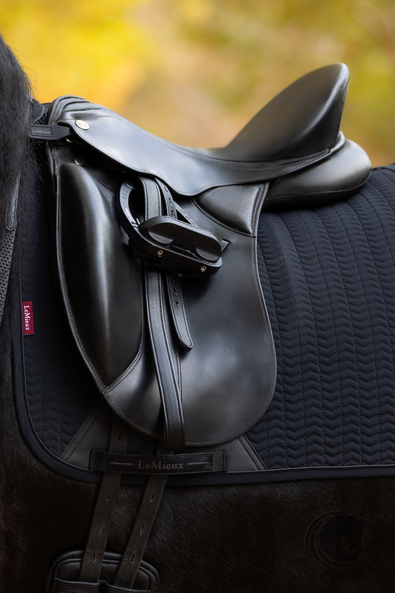 LeMieux Essence Dressage Square Black