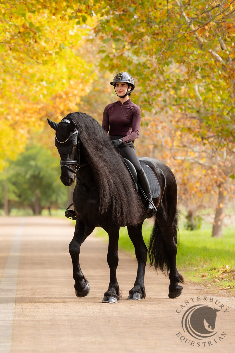 LeMieux Essence Dressage Square Black
