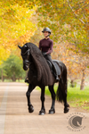 LeMieux Essence Dressage Square Black