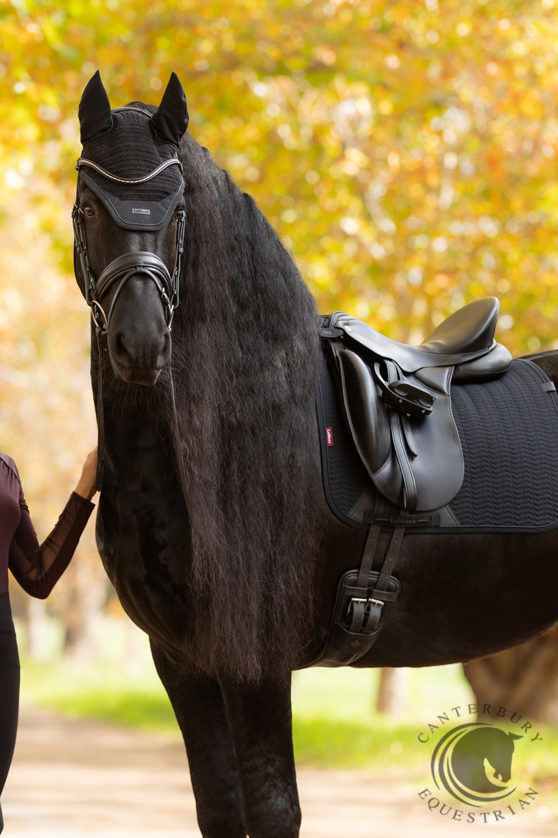 LeMieux Essence Dressage Square Black