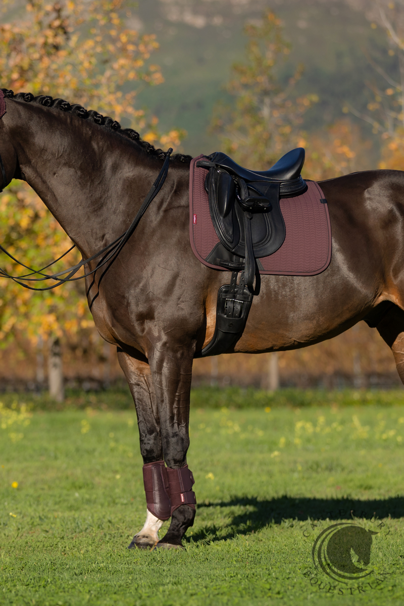 LeMieux Essence Dressage Square Damson