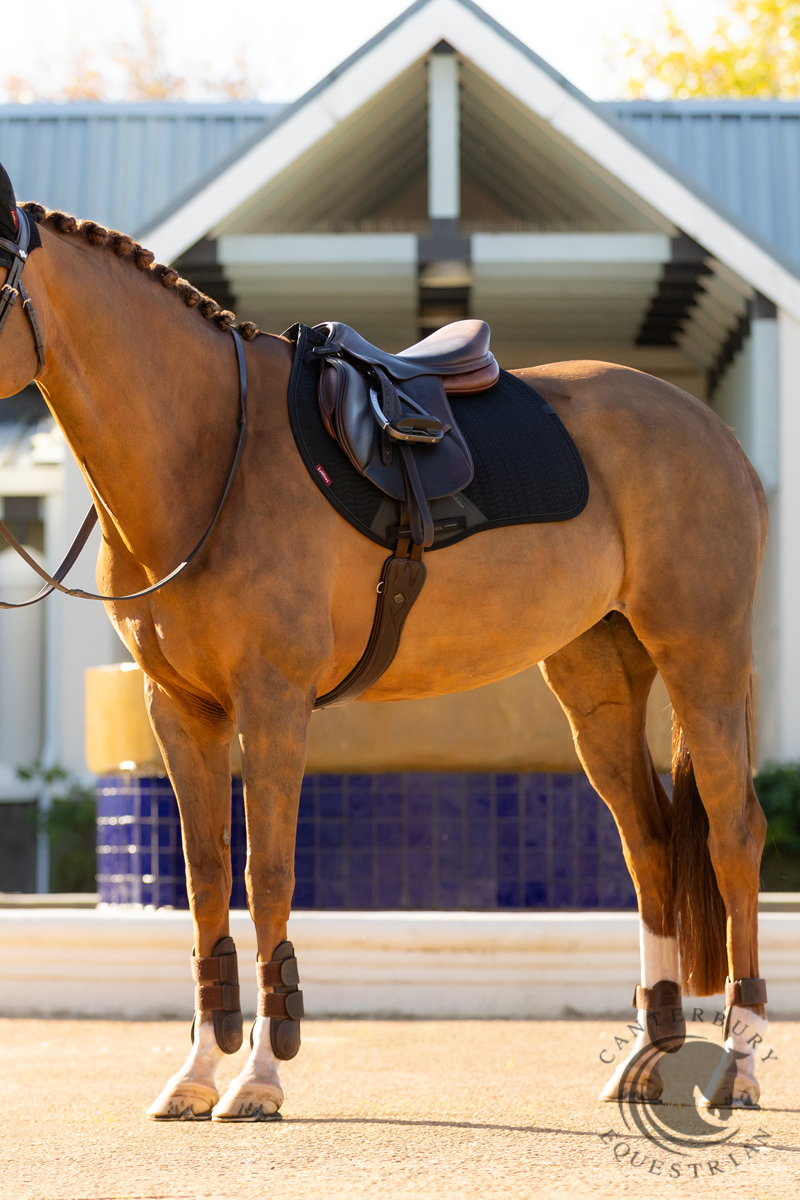 LeMieux Essence Eurojump Square Black