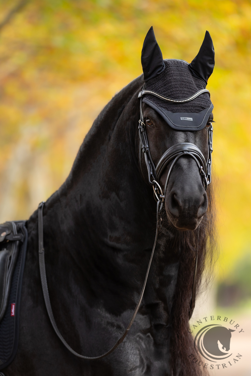LeMieux Essence Fly Hood Black