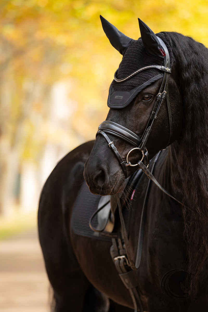 LeMieux Essence Fly Hood Black