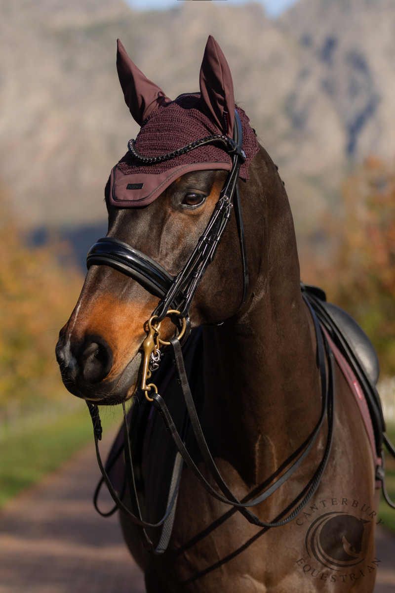 LeMieux Essence Fly Hood Damson