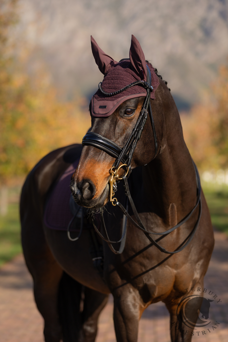 LeMieux Essence Fly Hood Damson