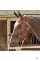 John Whitaker Ready To Ride Halter