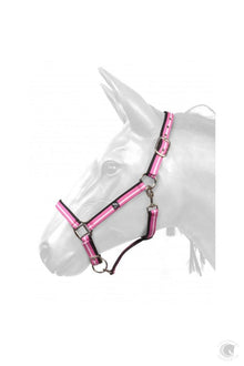  Harvey Headcollar