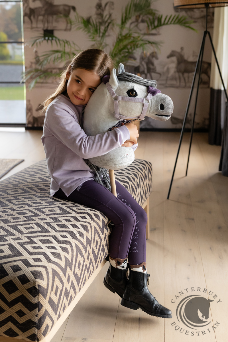 LeMieux Hobby Horse Earl