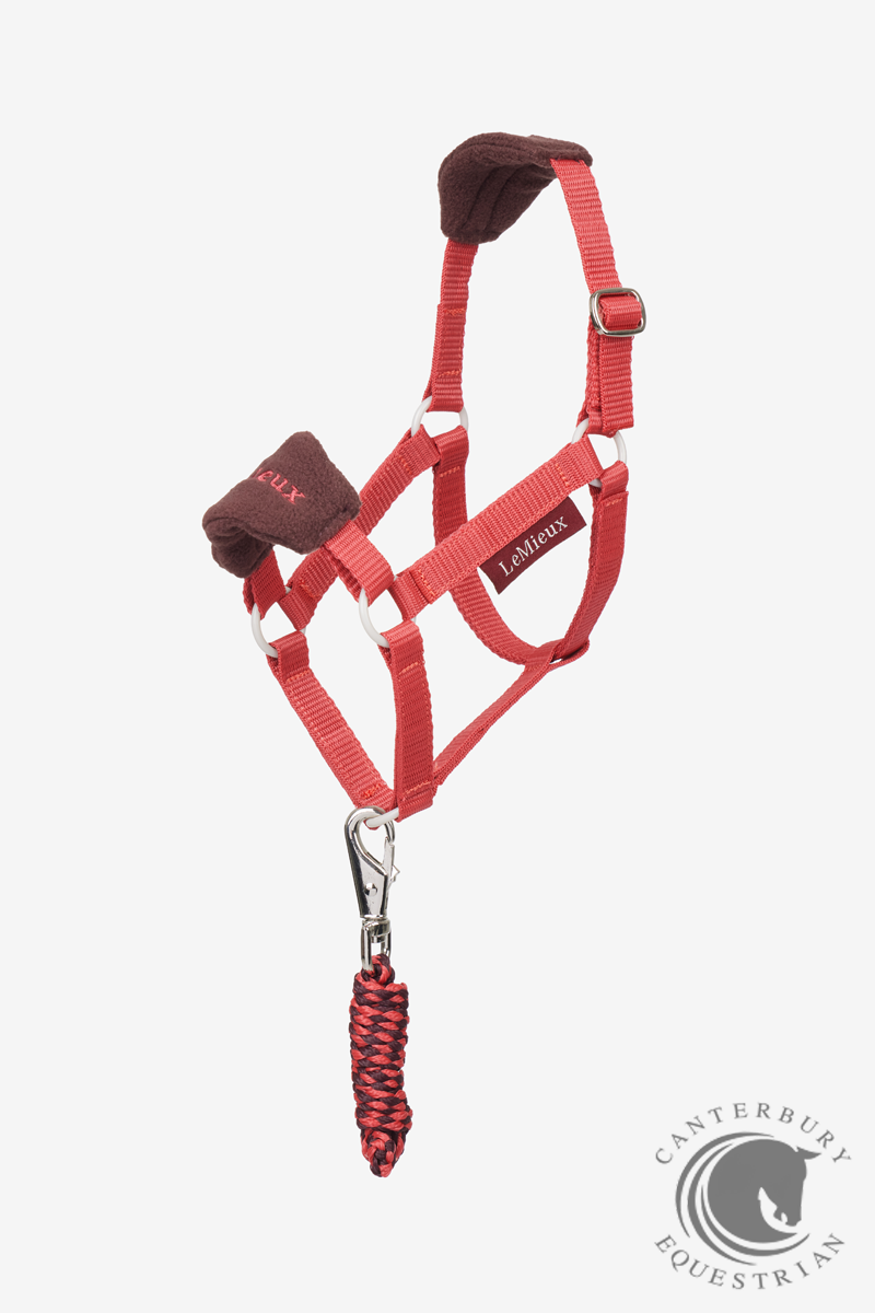 LeMieux Hobby Horse Vogue Headcollar & Leadrope Cranberry