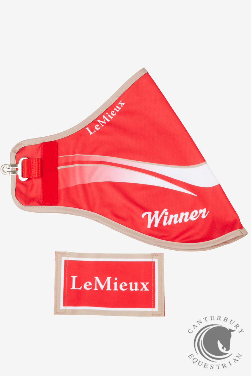 LeMieux Hobby Horse Winners Rug Red