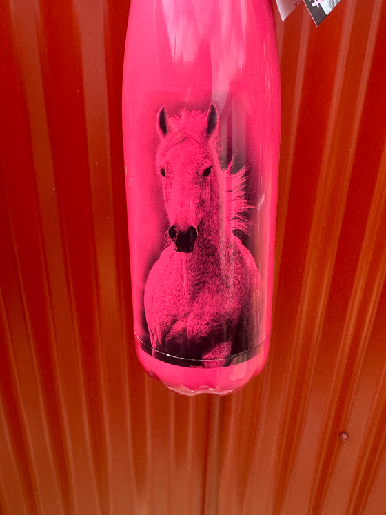 I Love Horses Insulated Drink Bottle