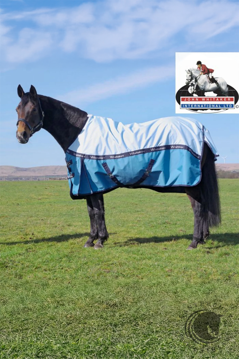 John Whitaker Healey NF Rug