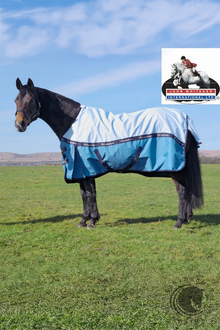  John Whitaker Healey NF Rug