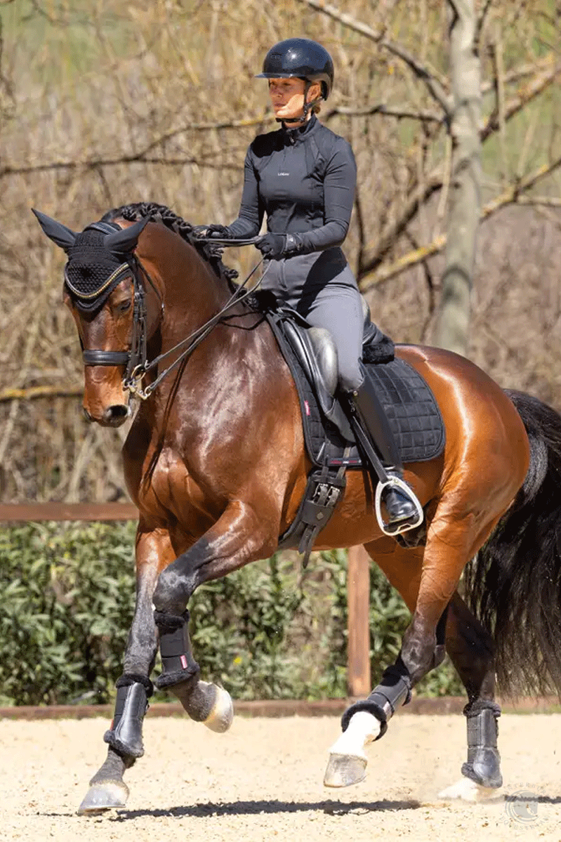 LeMieux Diamante Dressage Square Black