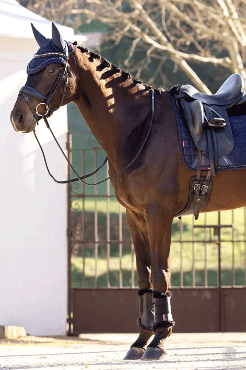 LeMieux Diamante Dressage Square Navy
