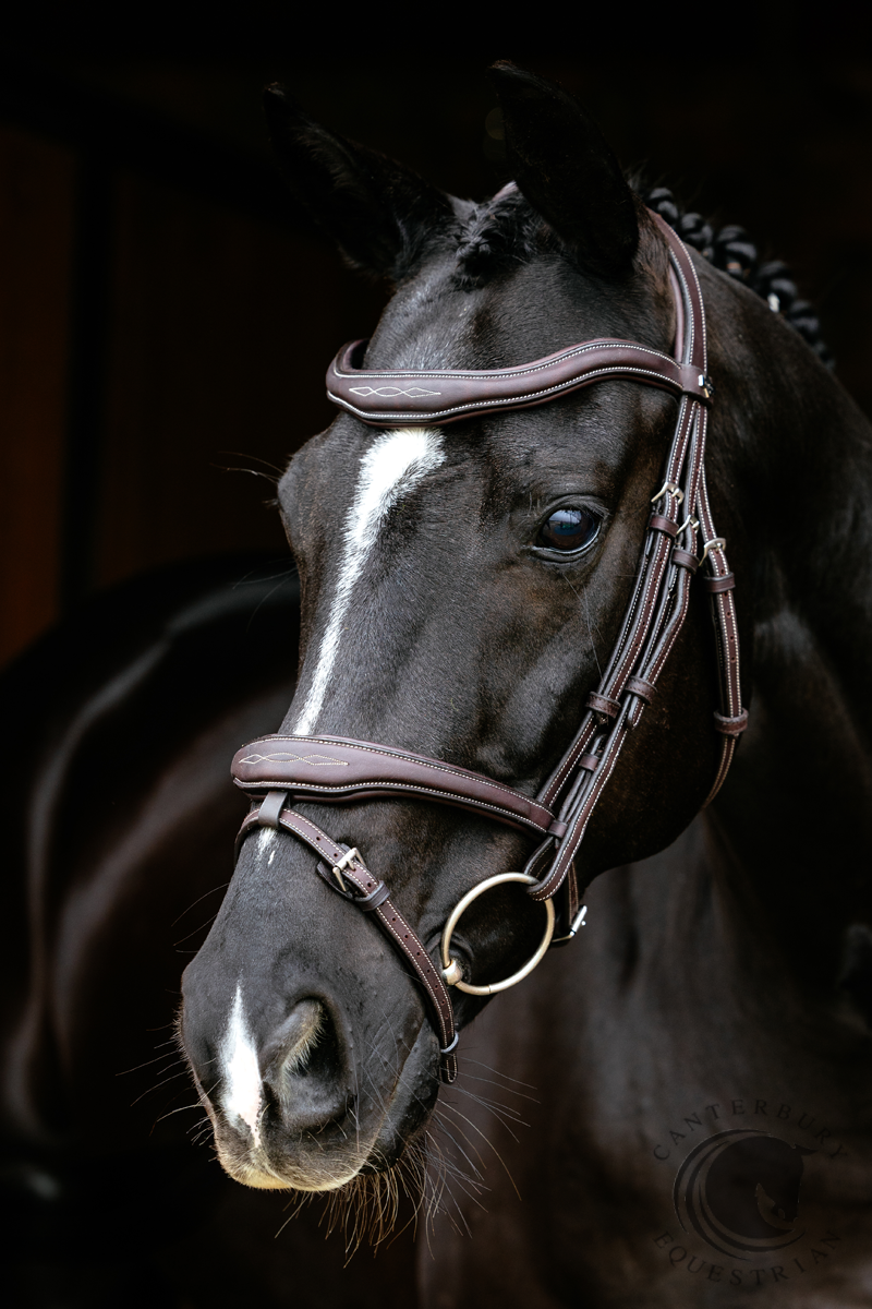LeMieux Kudos Contour Flash Bridle Brown