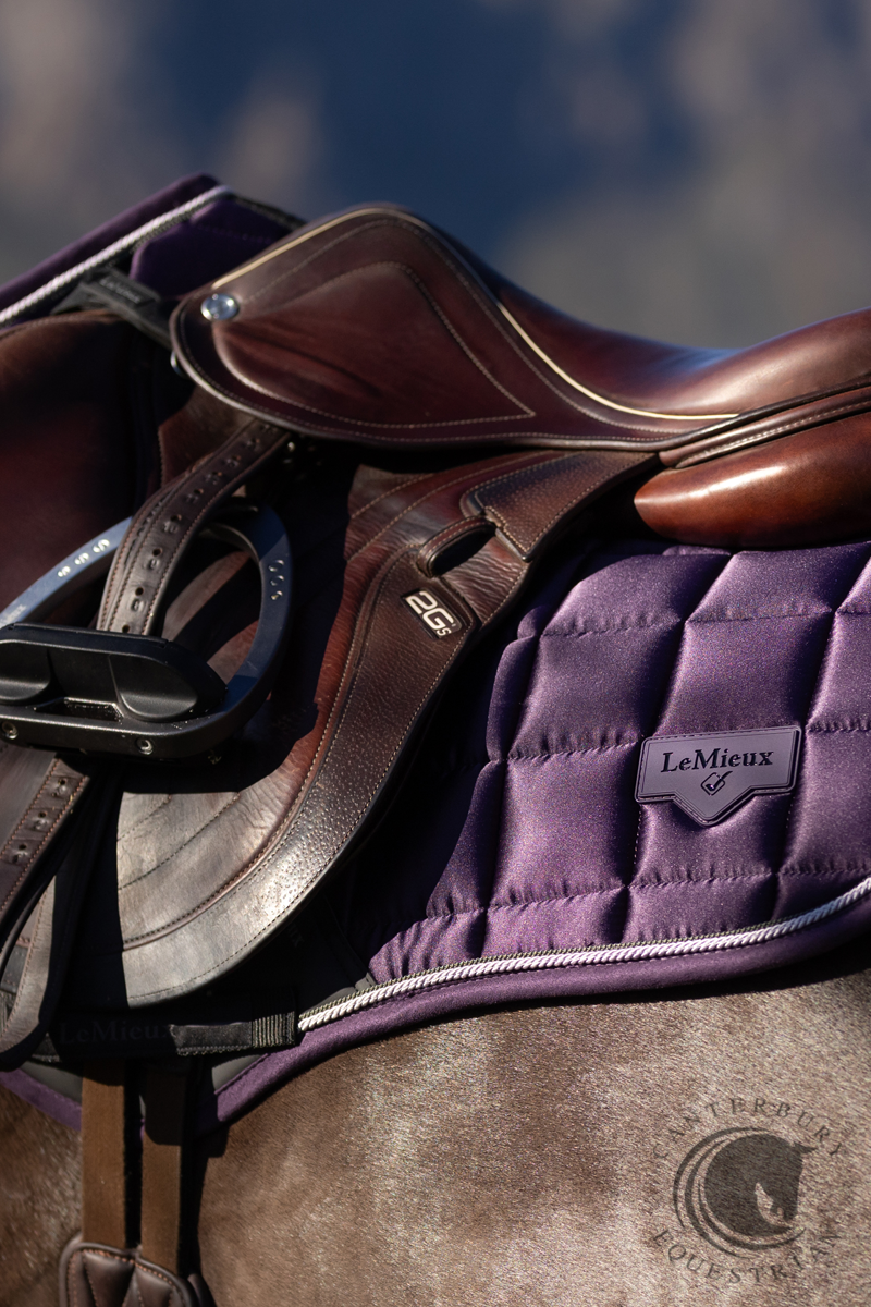 LeMieux Loire Classic Close Contact Square Juniper