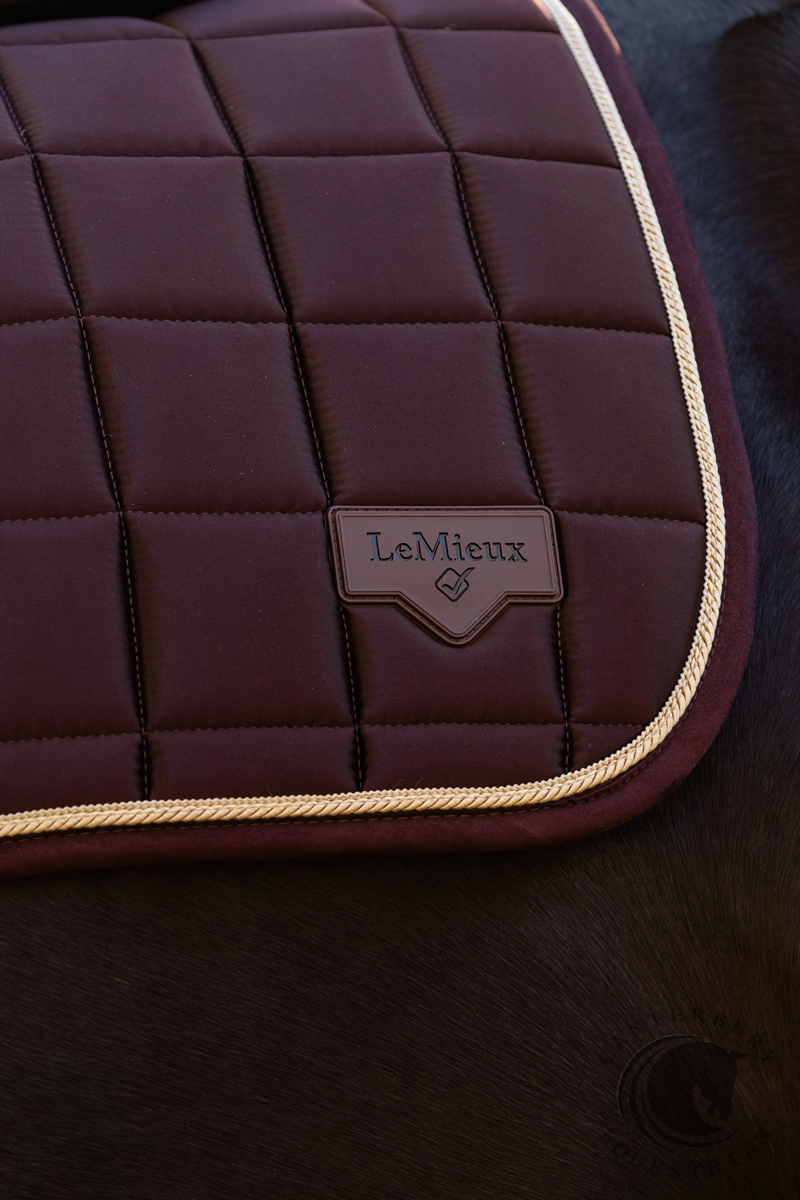 LeMieux Loire Classic Dressage Square Damson