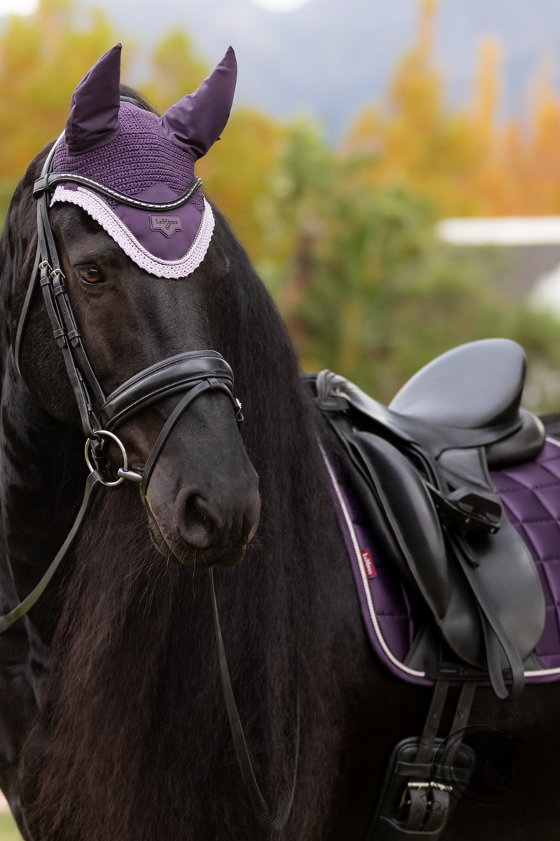 LeMieux Loire Classic Dressage Square Juniper