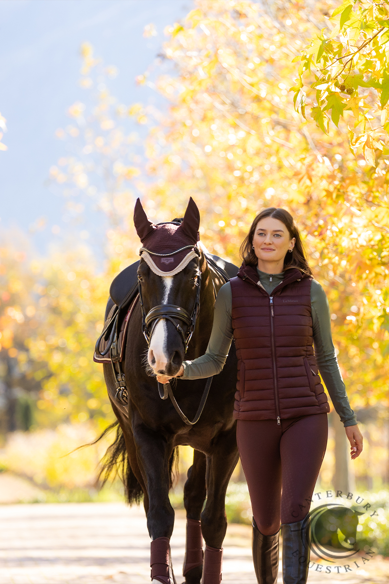 LeMieux Loire Fly Hood Damson