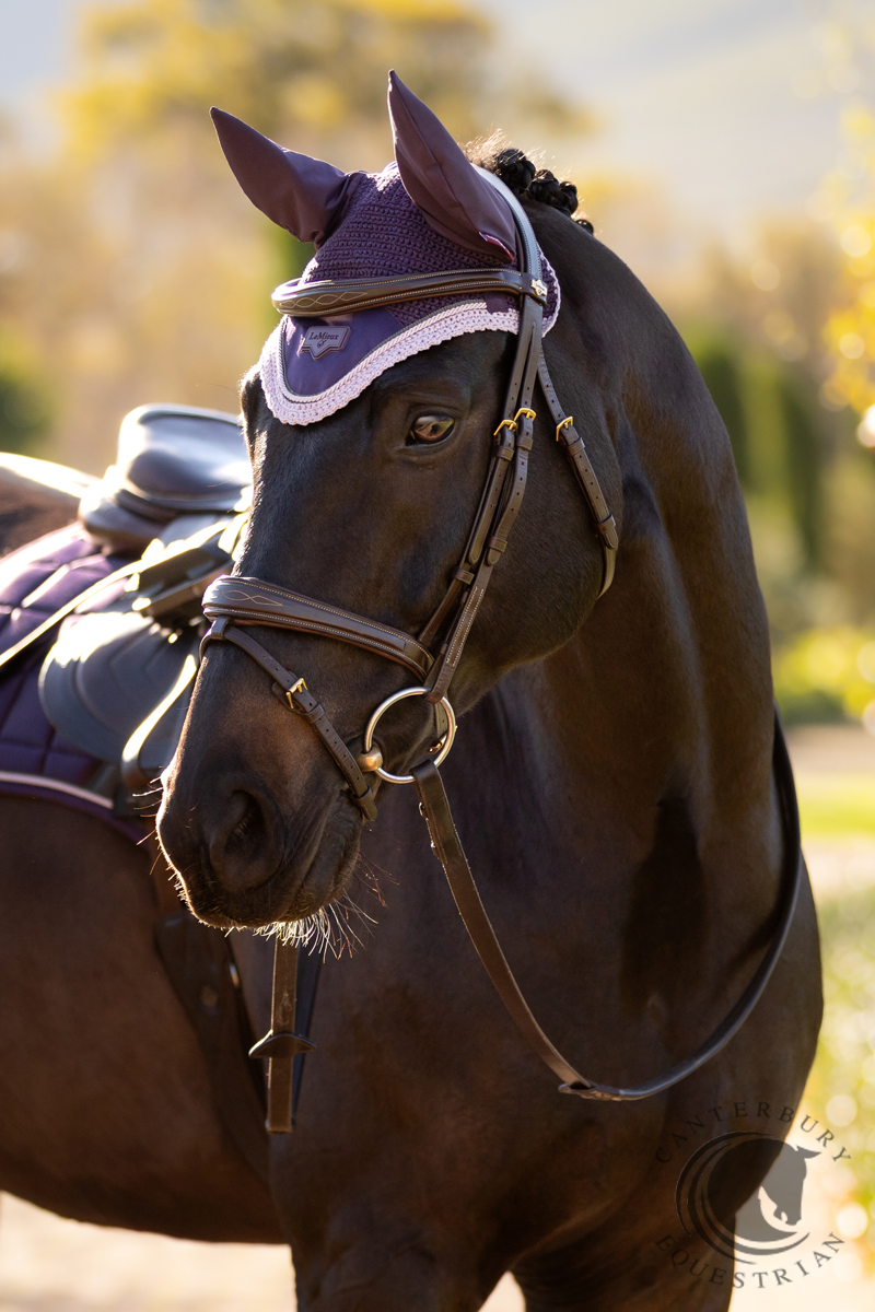 LeMieux Loire Fly Hood Juniper