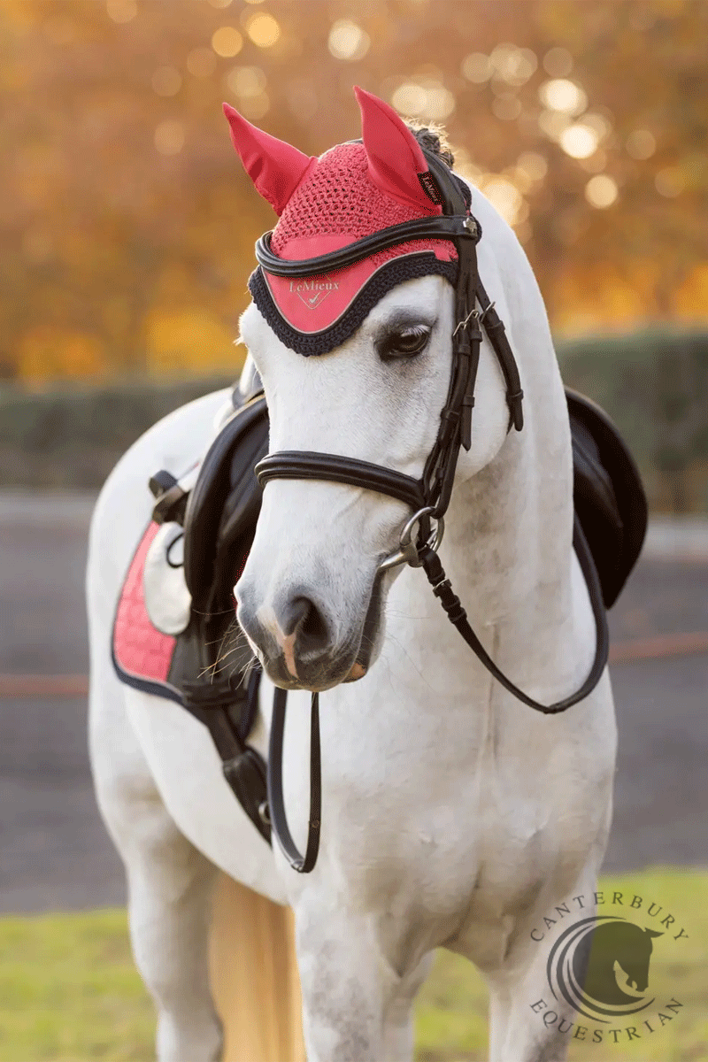 LeMieux Mini Classic Fly Hood Cranberry