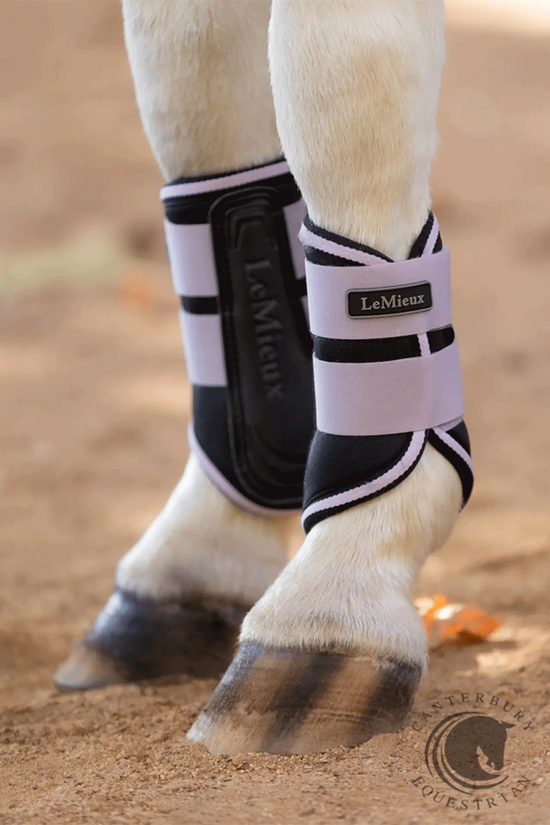 LeMieux Mini Grafter Brushing Boots Lilac