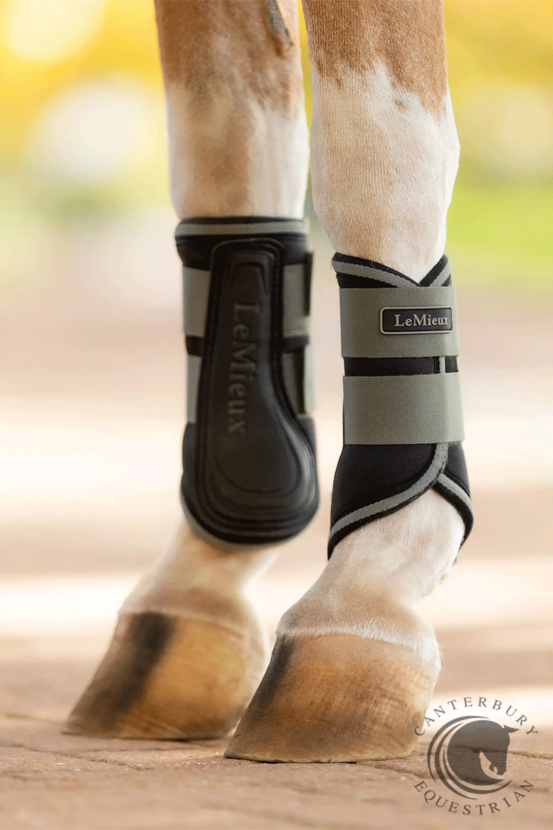 LeMieux Mini Grafter Brushing Boots Rosemary