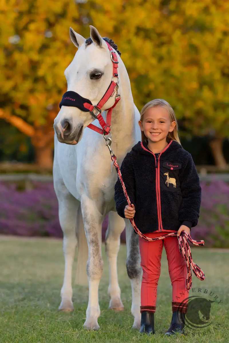 LeMieux Mini Vogue Headcollar & Leadrope Cranberry