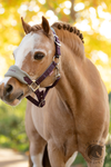 LeMieux Mini Vogue Headcollar & Leadrope Damson