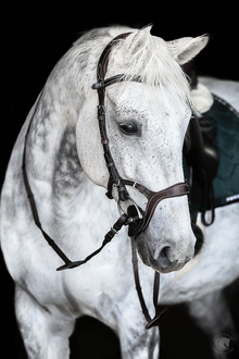  PS of Sweden Nirak Brown